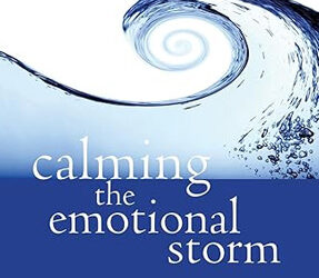 Calming the Emotional Storm