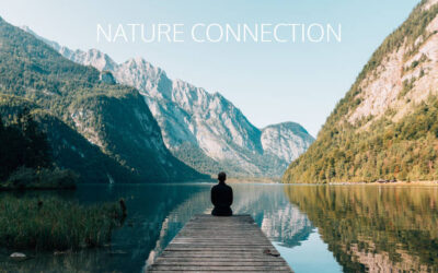 10 Nature Connection Activities