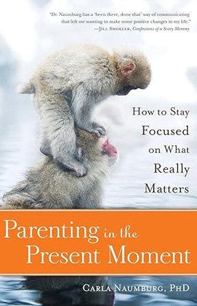 Parenting in the Present Moment: How to Stay Focused on What Really Matters - Awareness Books