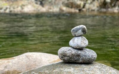 Pause and Prosper: Increasing Self-Awareness Through Stillness